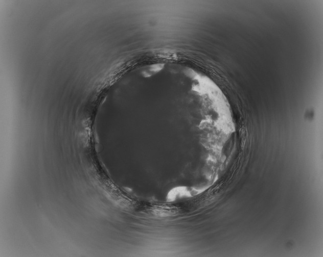 X0000114180707200911051550