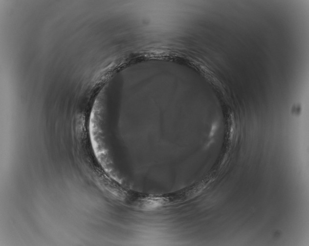 X0000114180711200911051550