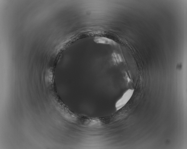 X0000114180715200911051550