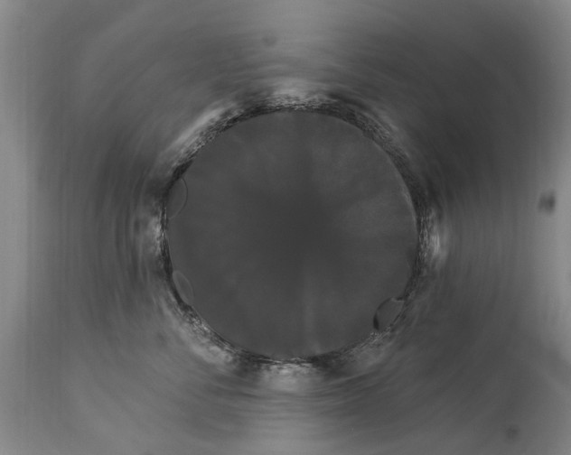 X0000114180716200911051550