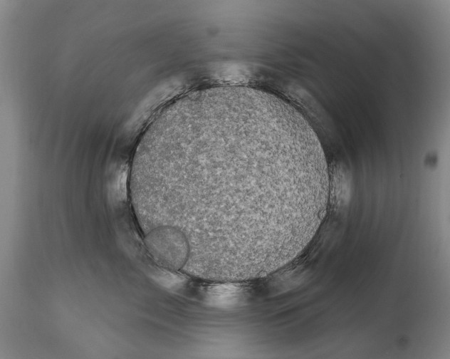 X0000114180717200911051550