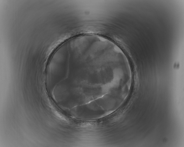 X0000114180721200911051549