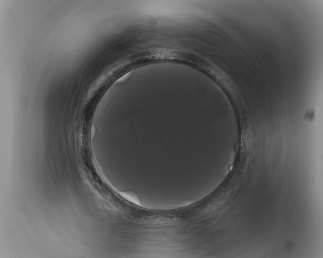 X0000114180722200911051549