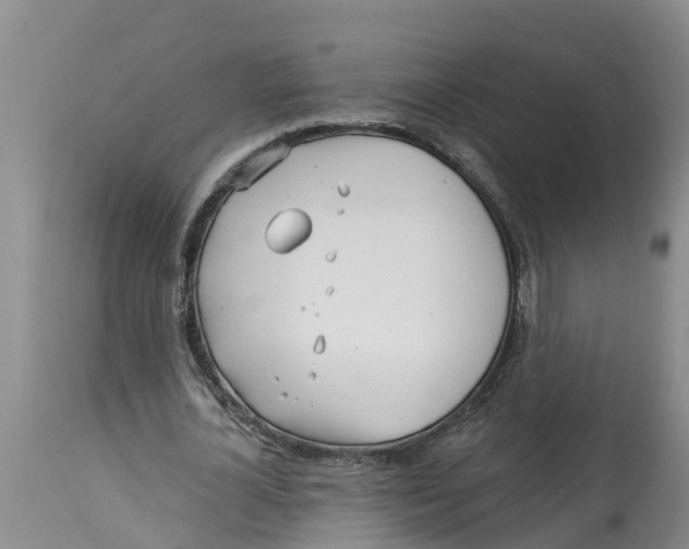 X0000114180724200911051550