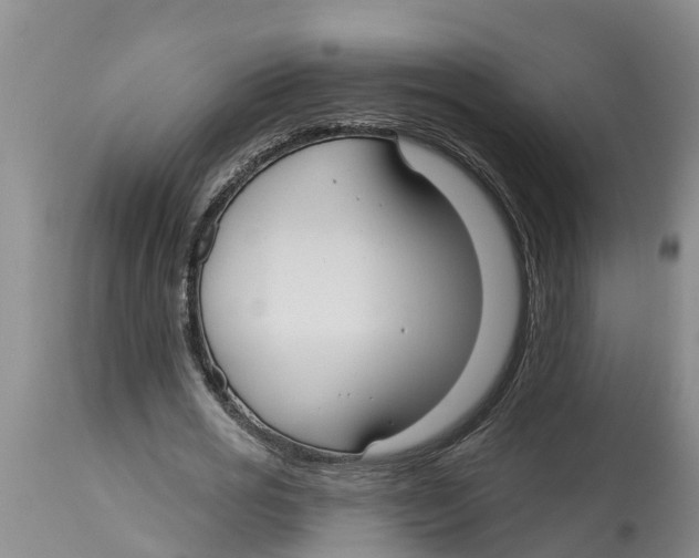 X0000114180725200911051550