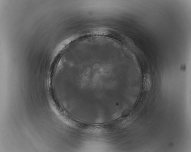 X0000114180726200911051550