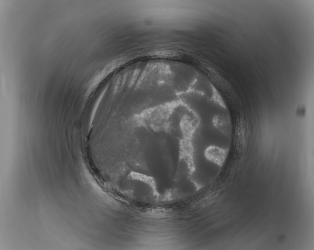 X0000114180734200911051550