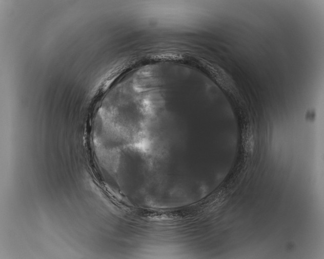 X0000114180735200911051550