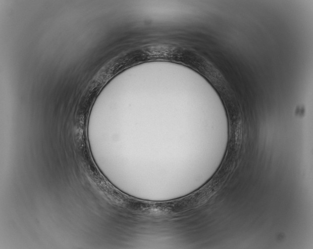 X0000114180737200911051550