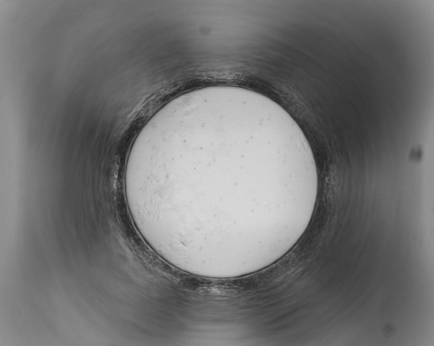 X0000114180739200911051550