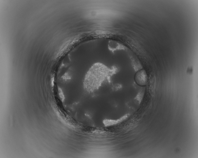 X0000114180742200911051550