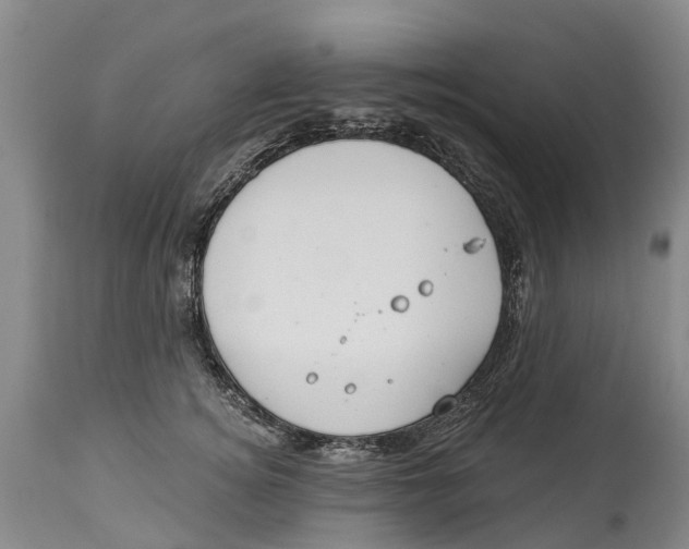 X0000114180756200911051550