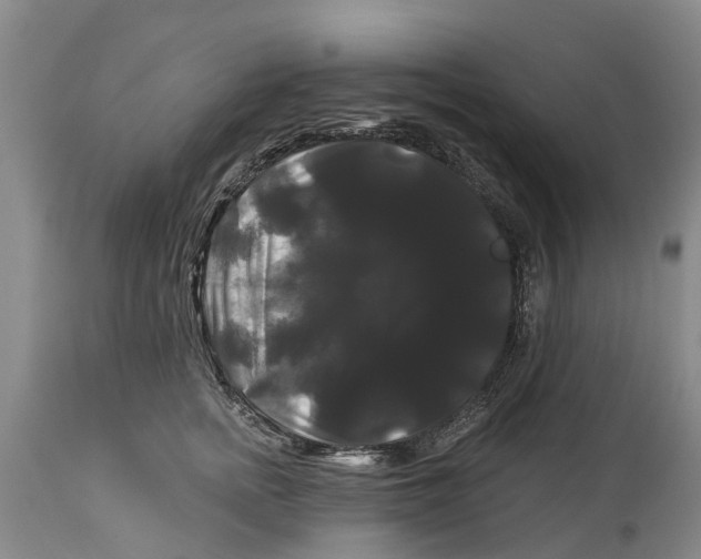 X0000114180758200911051550