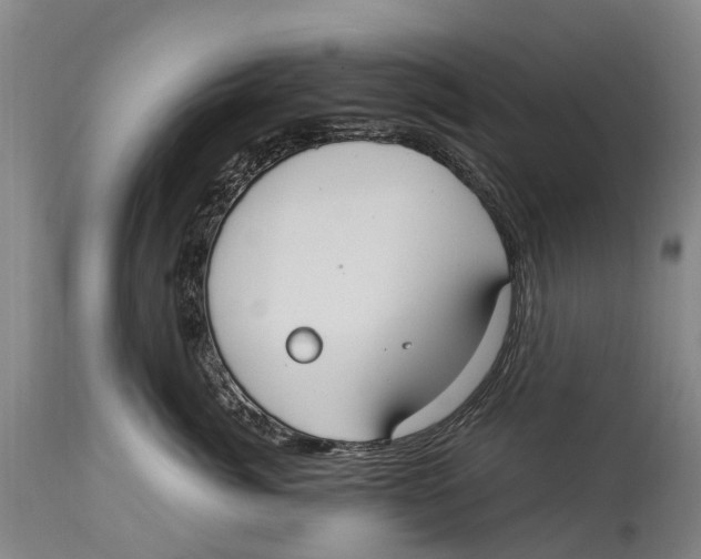 X0000114180764200911051550