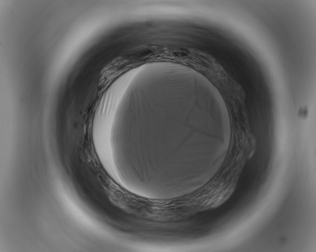 X0000114180766200911051550