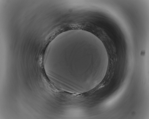 X0000114180767200911051550