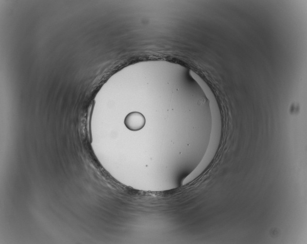 X0000114180768200911051550