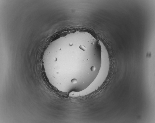 X0000114180769200911051549