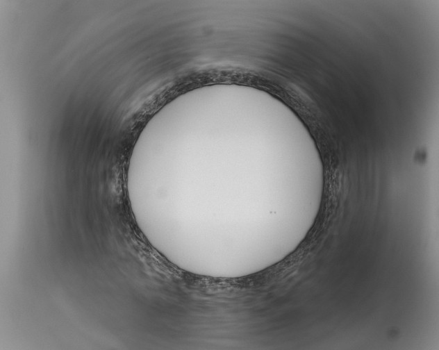 X0000114180774200911051549