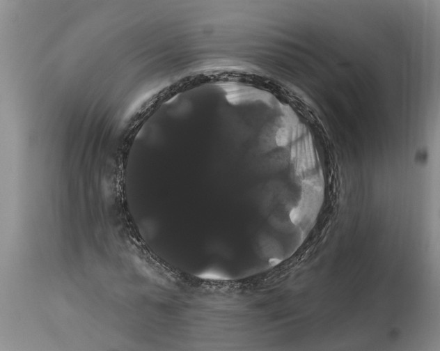 X0000114180775200911051549