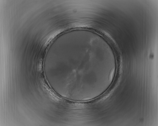 X0000114180777200911051549