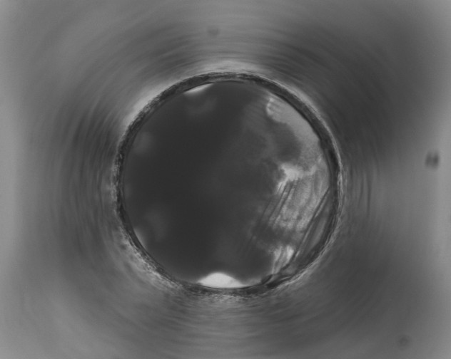 X0000114180783200911051549