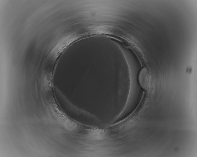 X0000114180785200911051549