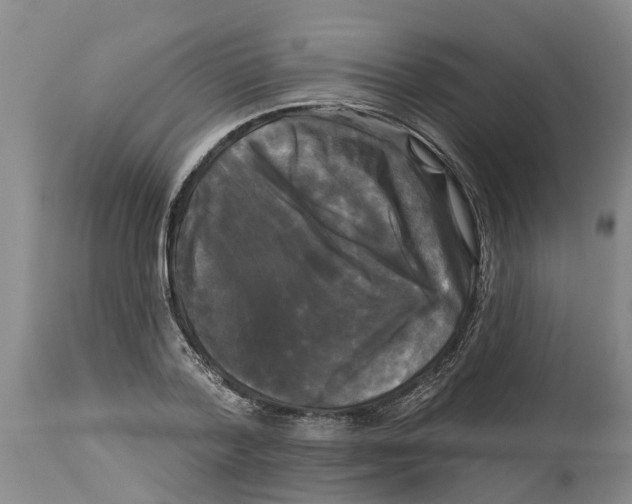 X0000114180788200911051549