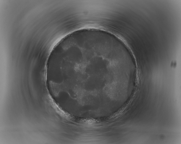 X0000114180791200911051549