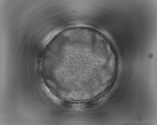 X0000114180793200911051549