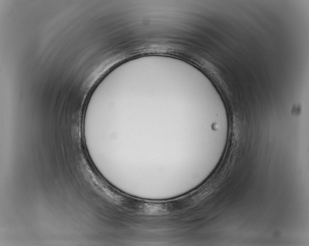 X0000114180794200911051549