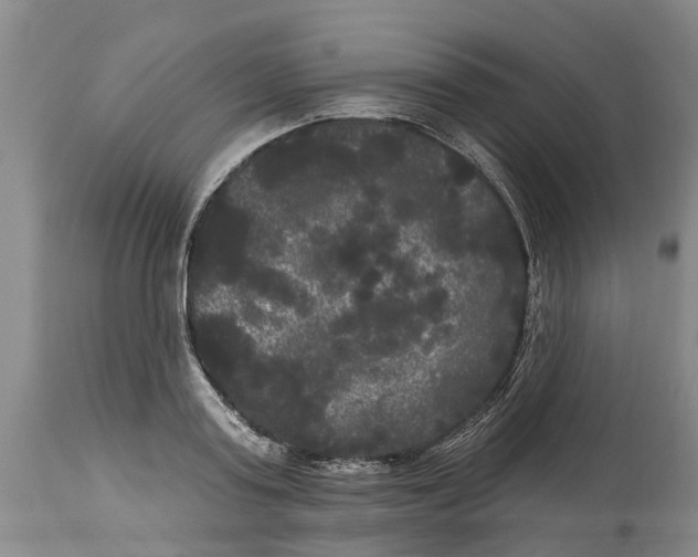 X0000114180795200911051549