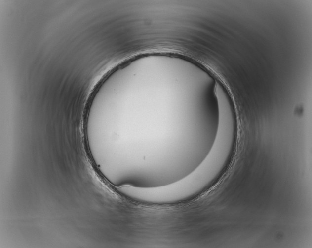 X0000114180797200911051549