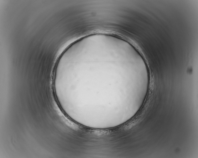 X0000114180803200911051549