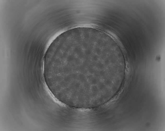 X0000114180804200911051549