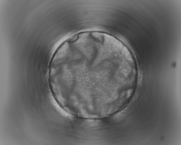 X0000114180805200911051549