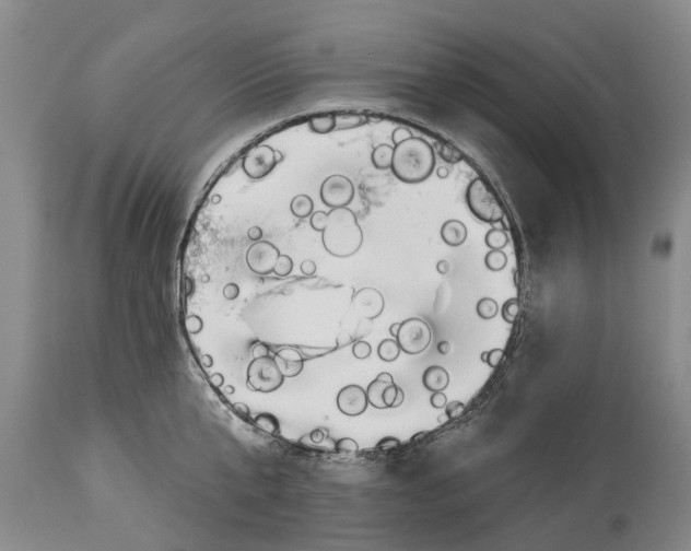 X0000114180807200911051549