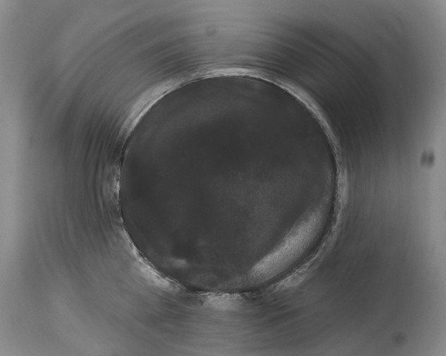 X0000114180809200911051549