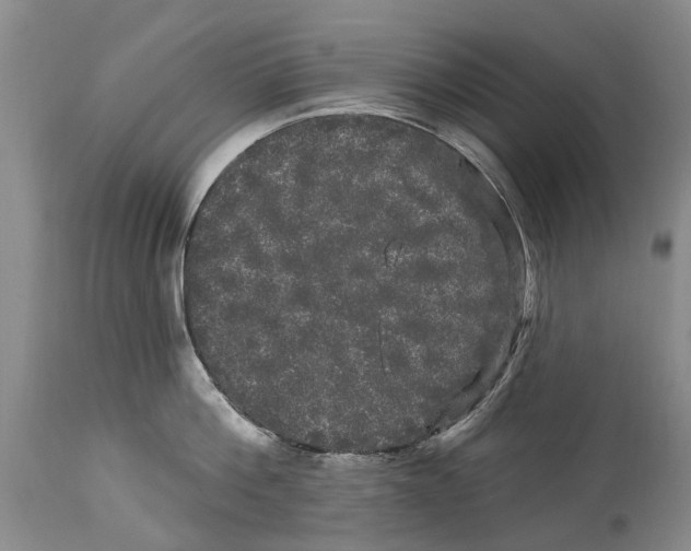 X0000114180812200911051549