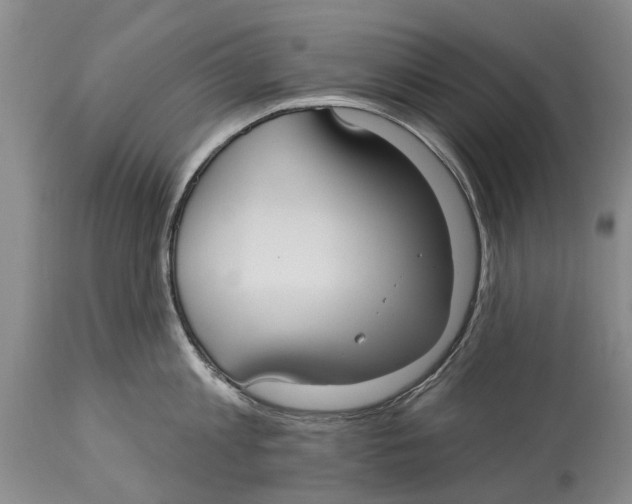 X0000114180813200911051549