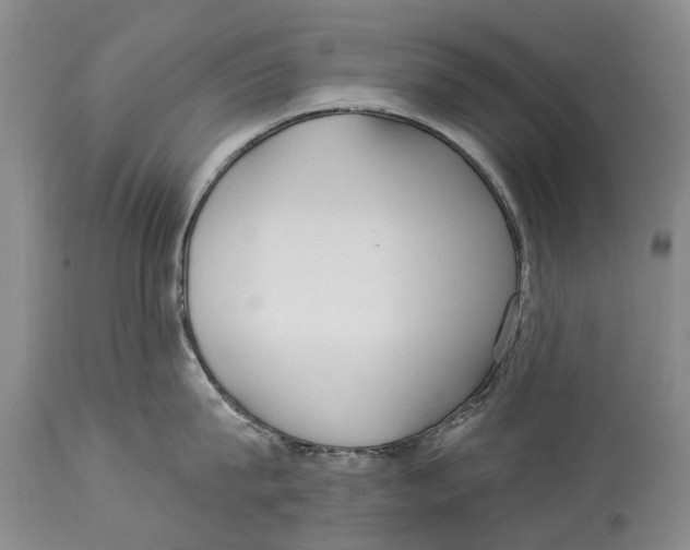 X0000114180815200911051549