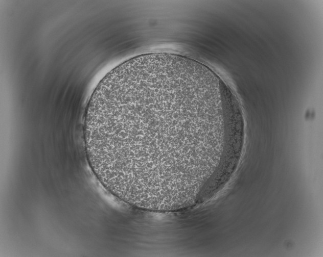 X0000114180816200911051549