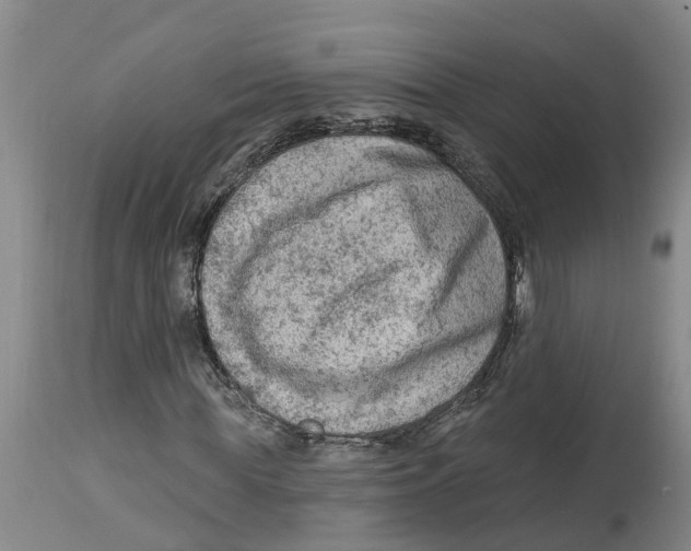 X0000114180819200911051548