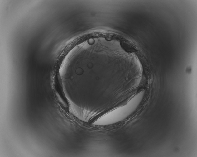 X0000114180822200911051548