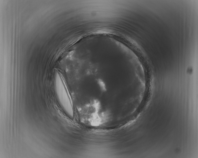 X0000114180825200911051548