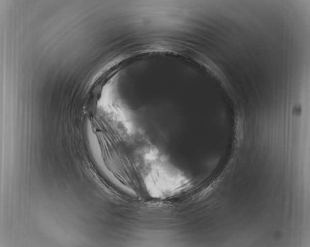 X0000114180826200911051548