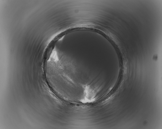 X0000114180830200911051548