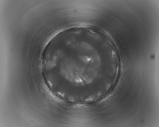 X0000114180835200911051548