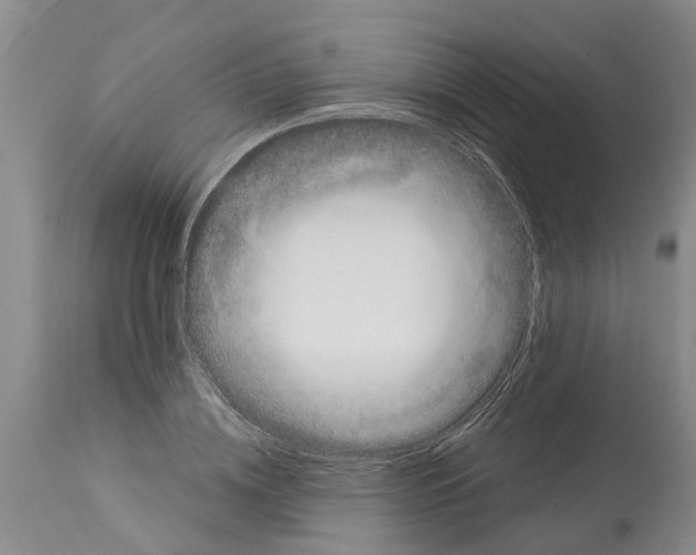 X0000114180836200911051548