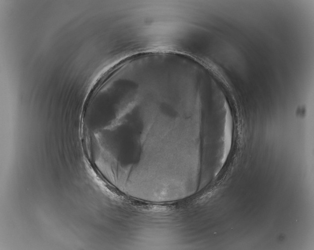 X0000114180839200911051548